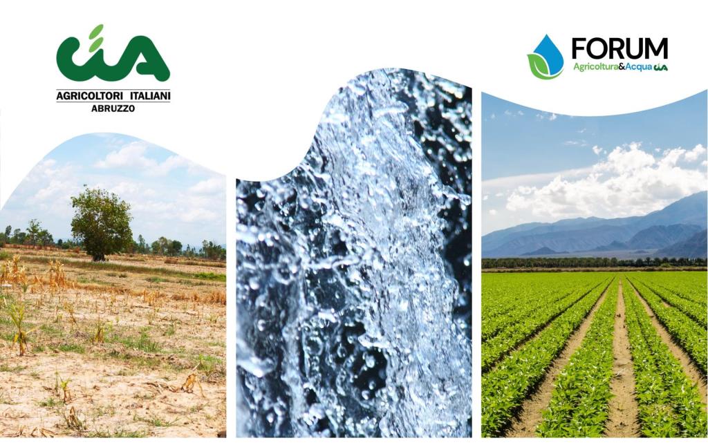 Agricoltura e acqua: l