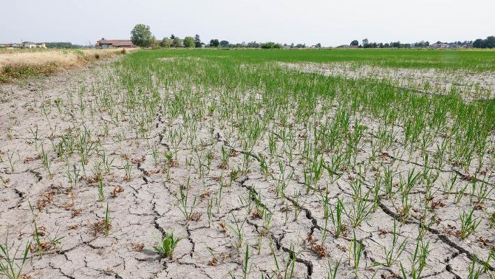  Crisi idrica, agricoltura a rischio nelle province di Chieti e Pescara