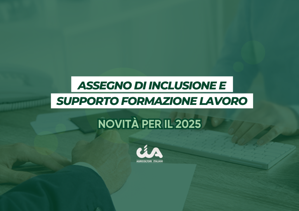  Assegno di Inclusione e Supporto Formazione Lavoro: novità per il 2025