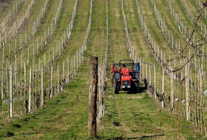 Cia Abruzzo chiede aumento del gasolio agricolo per emergenza siccità